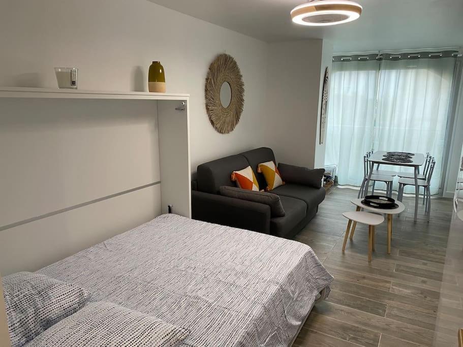 Appartement Renove 200 M De La Avec Parking Prive Agde
